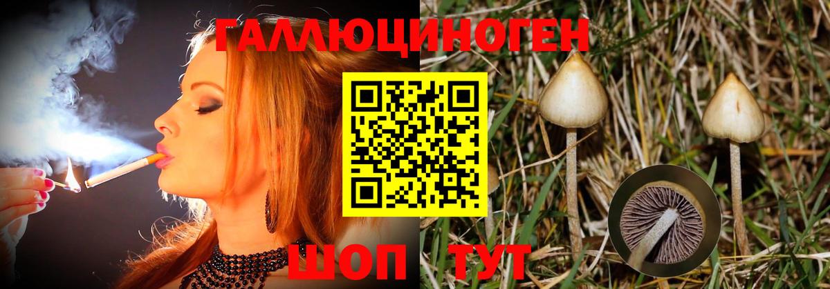 Галлюциногенные грибы ЛСД Дзержинск