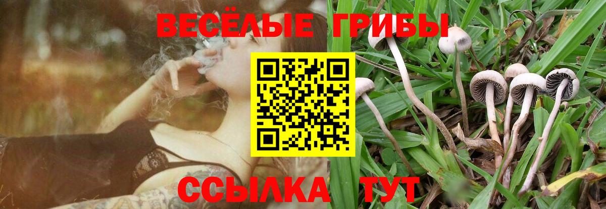Псилоцибиновые грибы MAGIC MUSHROOMS  Галлюциногенные грибы Psilocybe  Дзержинск  Вход с VPN 